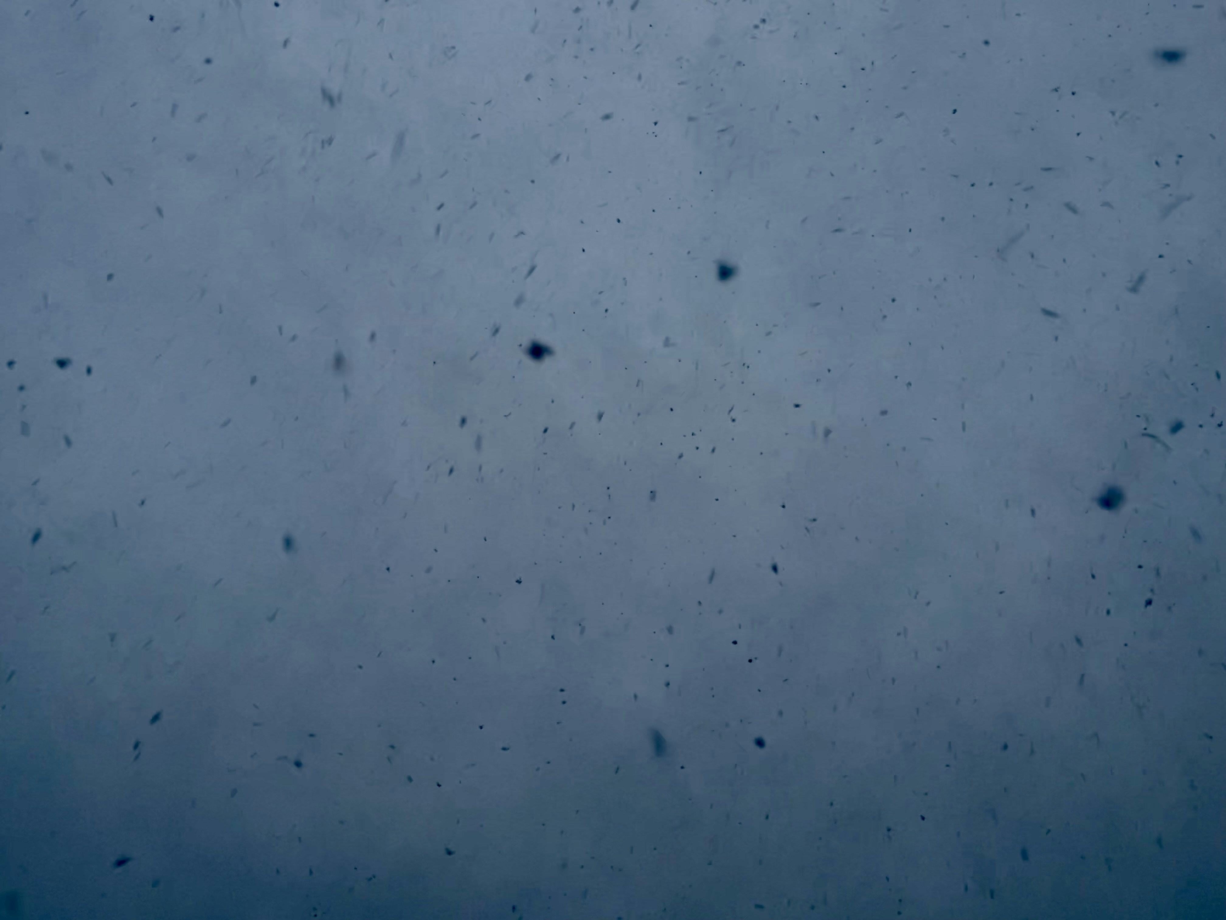 Photo by elikyriakiz