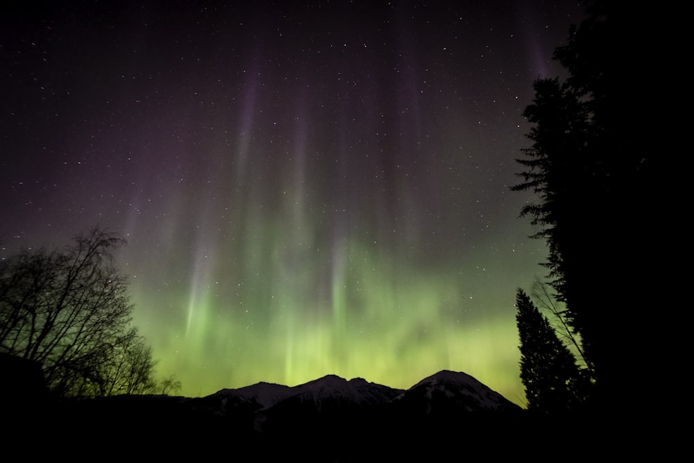 Une aurore verte et violette perce dans le ciel nocturne