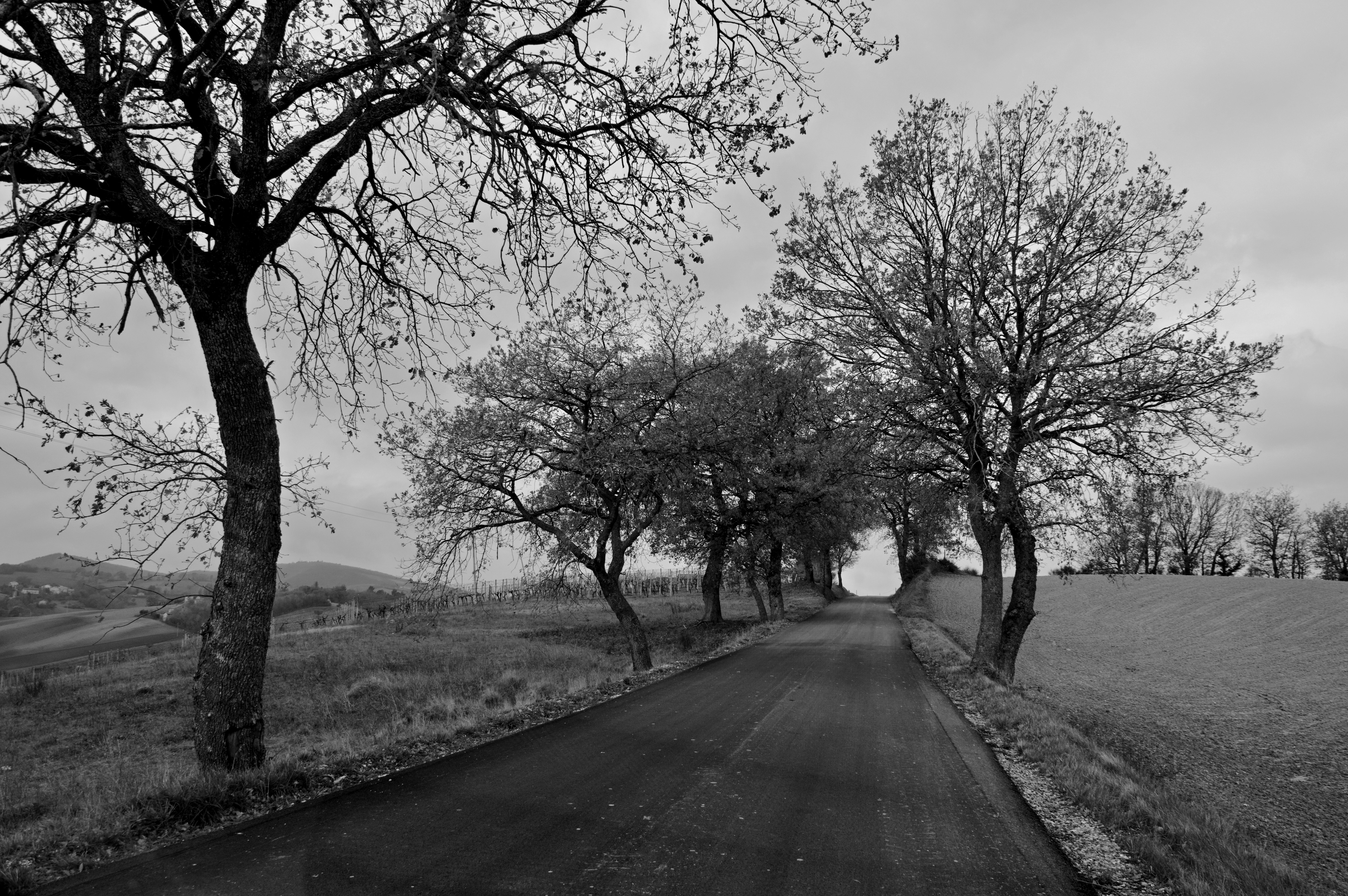 Photo by mariobeducci