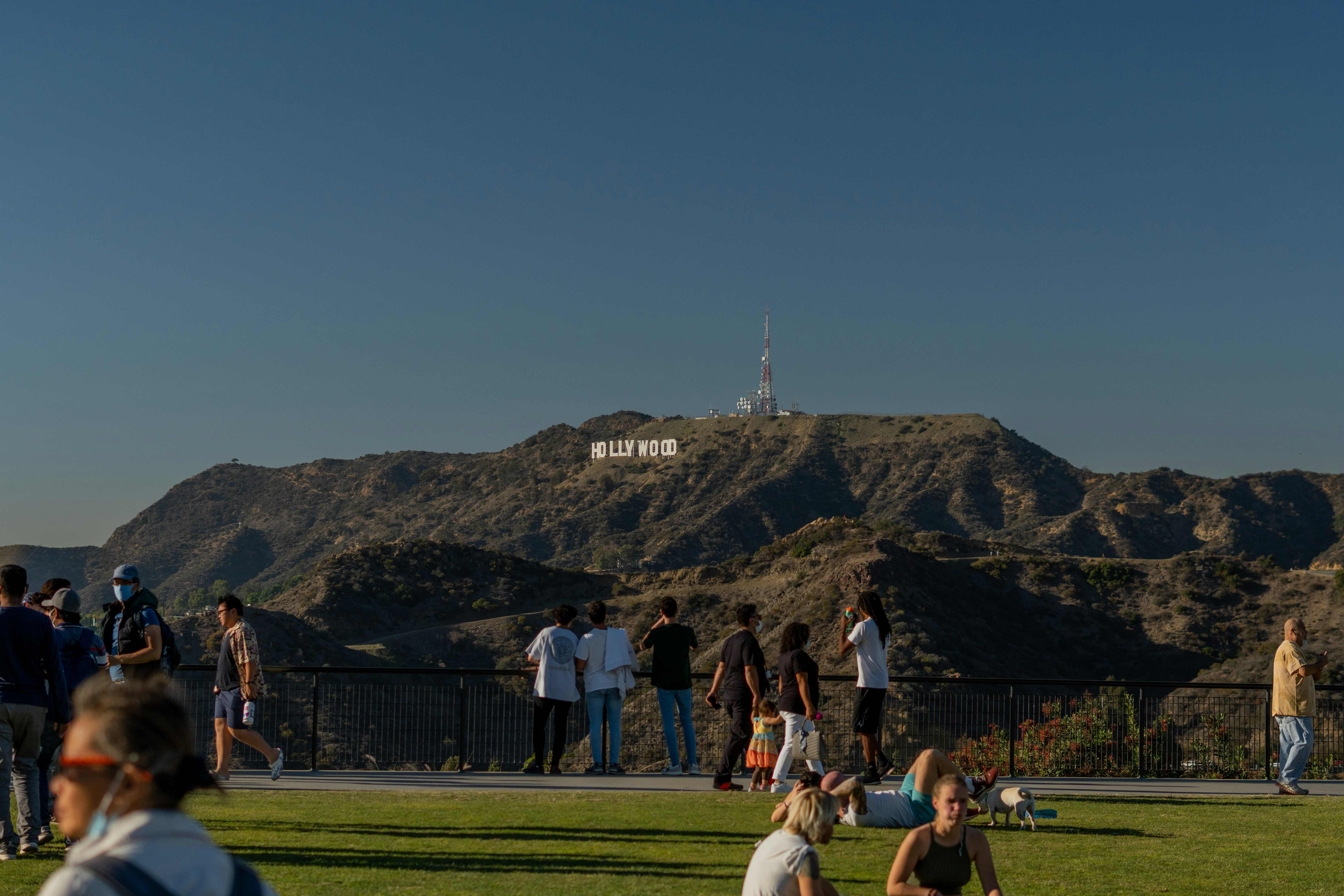 a group of people standing on top of a lush green field