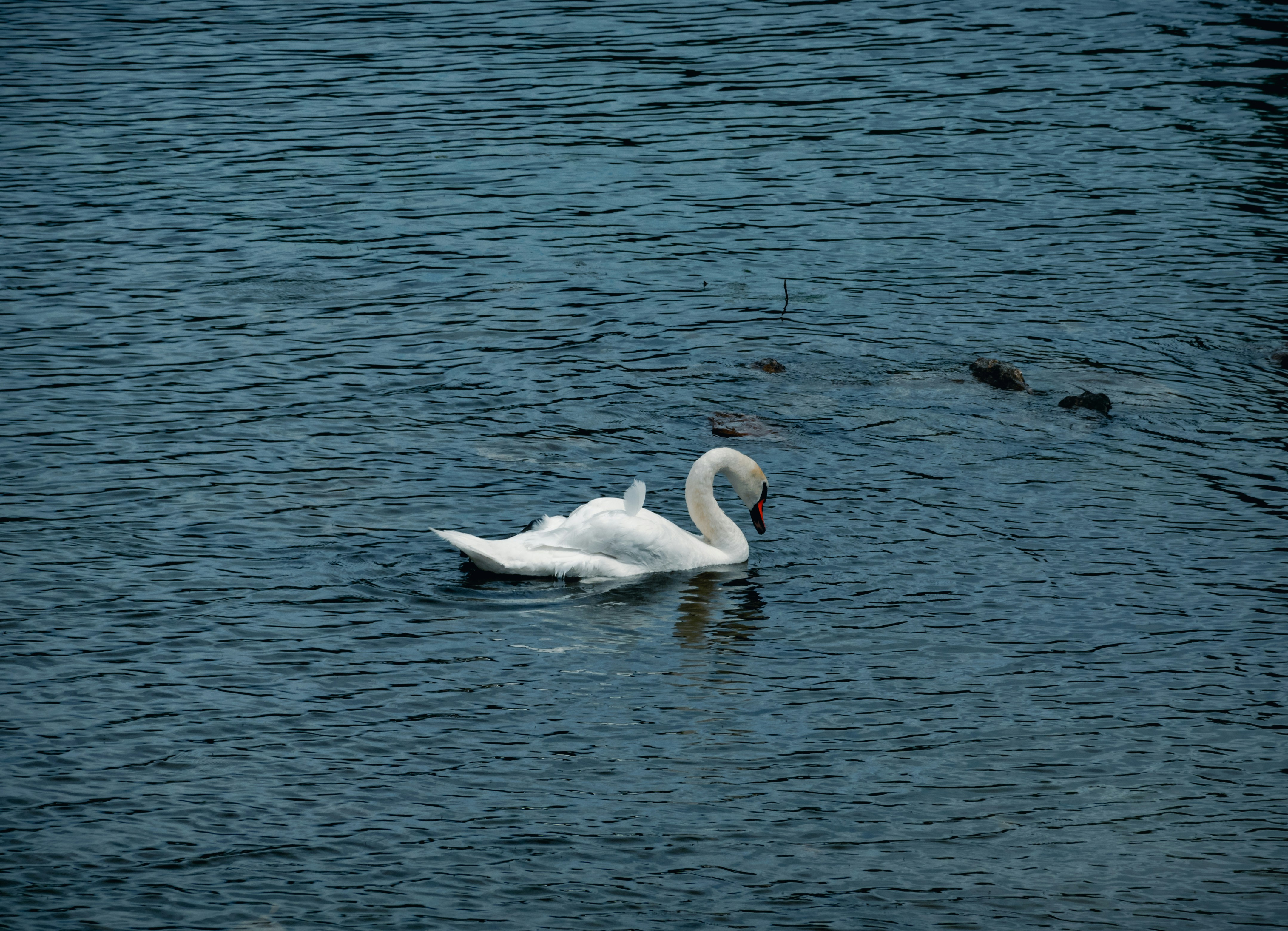 Photo by artinbakhan