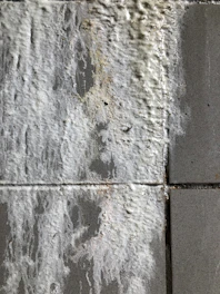 Close-up of damp wall before treatment showing salt deposits and moisture damage.