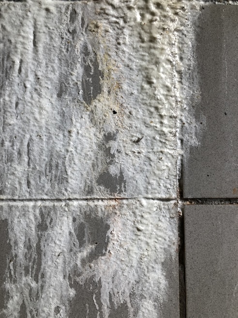 A close-up view of a textured wall with efflorescence. The surface appears rough and uneven, with white salt deposits covering sections of the gray concrete tiles.