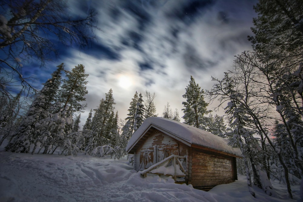 uma cabana no meio de uma floresta nevada