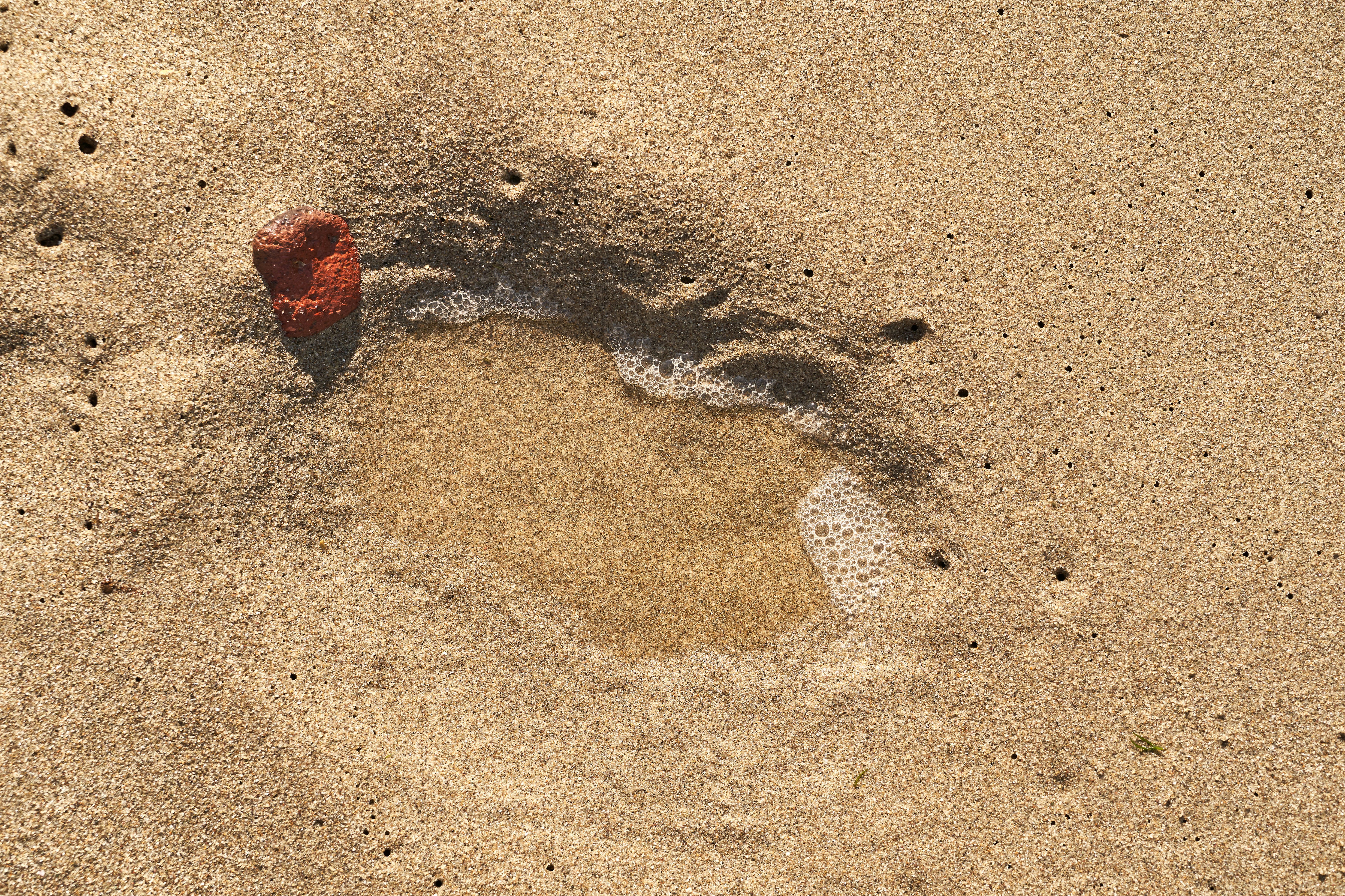 Photo by wolfgang_hasselmann