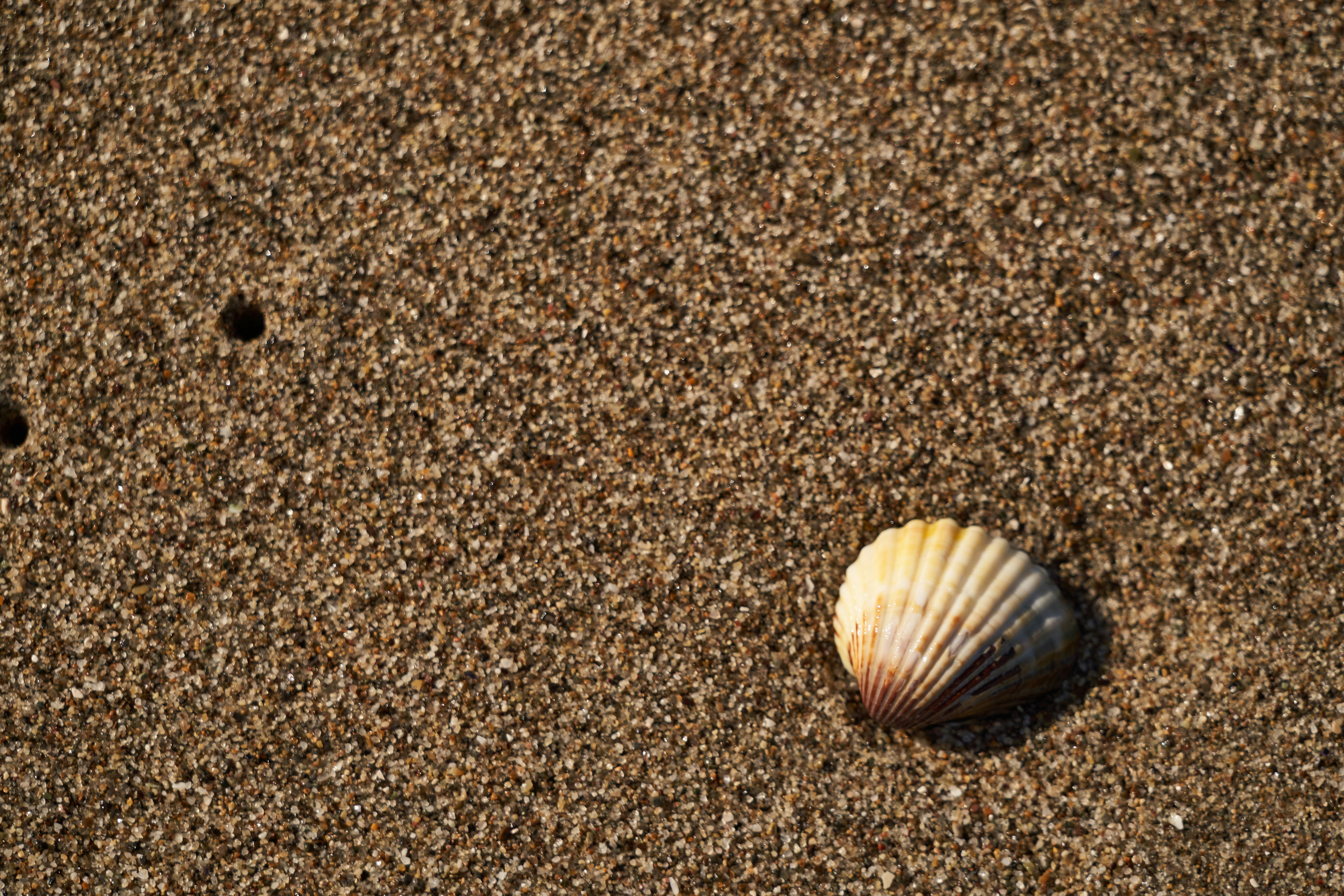 Photo by wolfgang_hasselmann