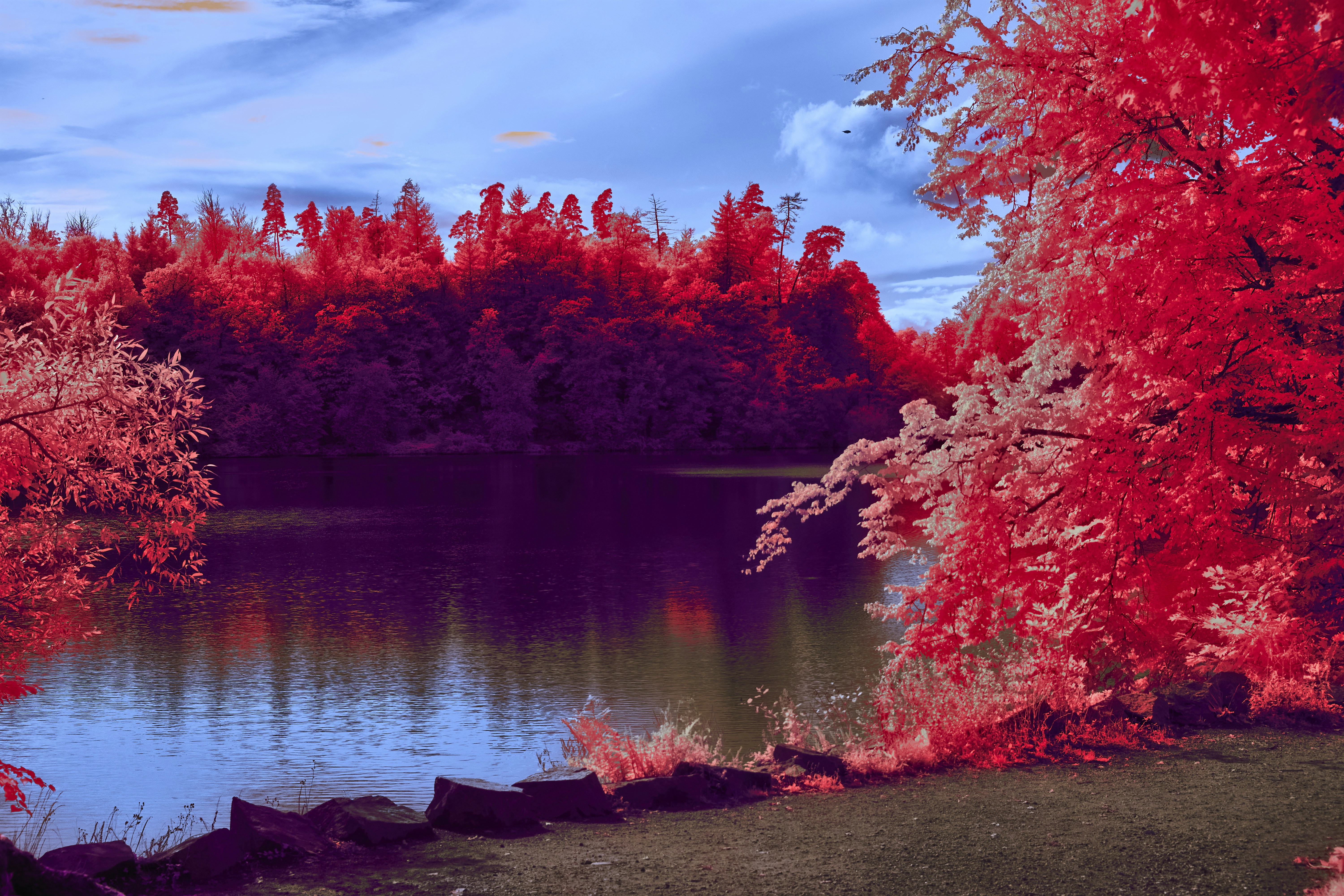 Photo by wolfgang_hasselmann