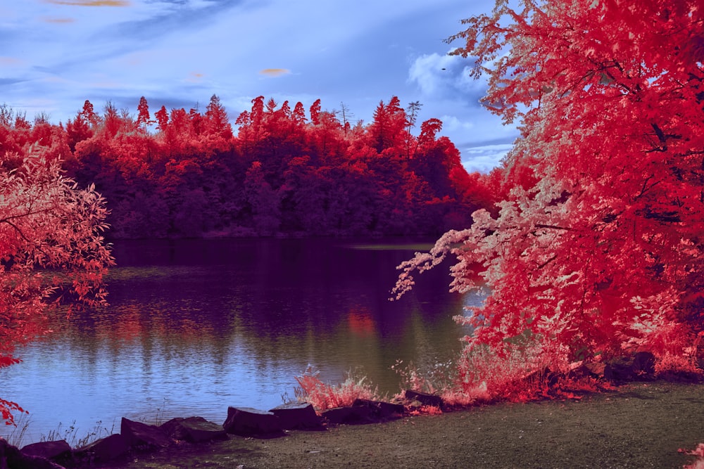a lake surrounded by trees with red leaves