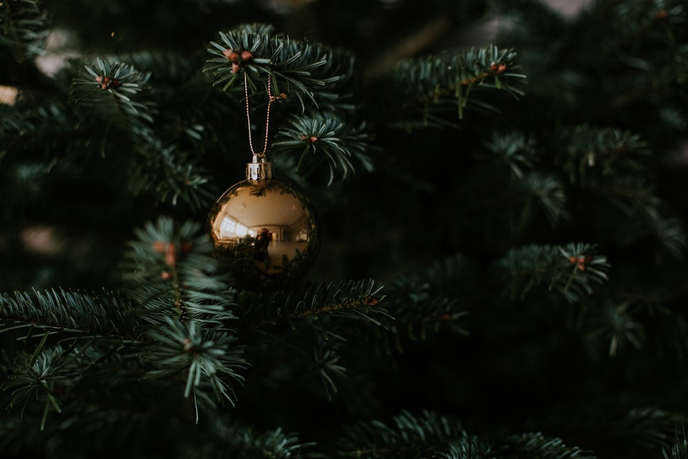 a christmas ornament hanging from a pine tree