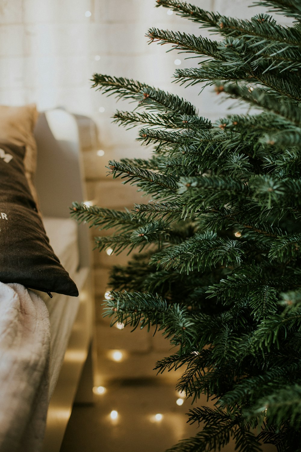 a small christmas tree in front of a couch