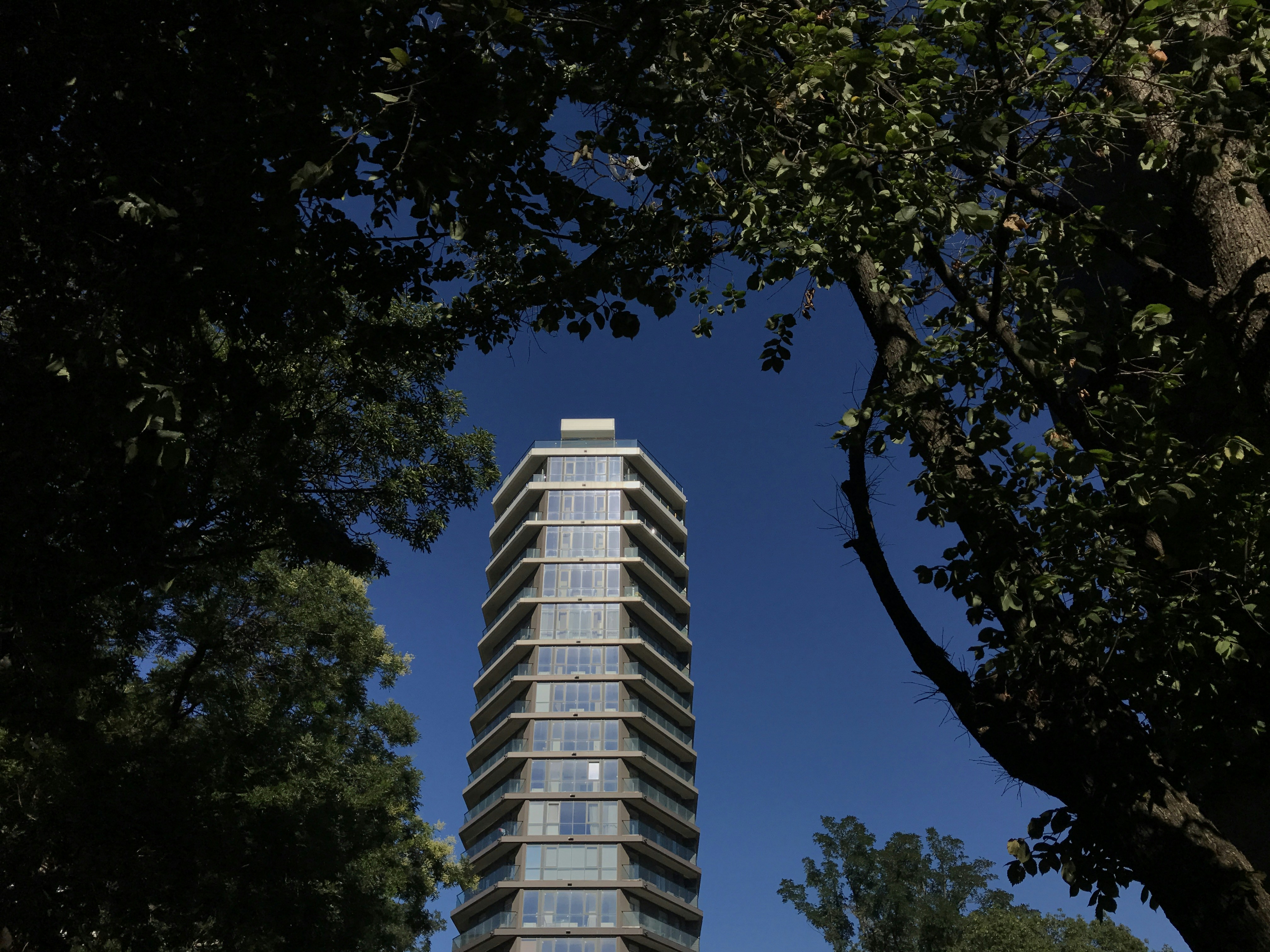 Photo by voznenko_artur