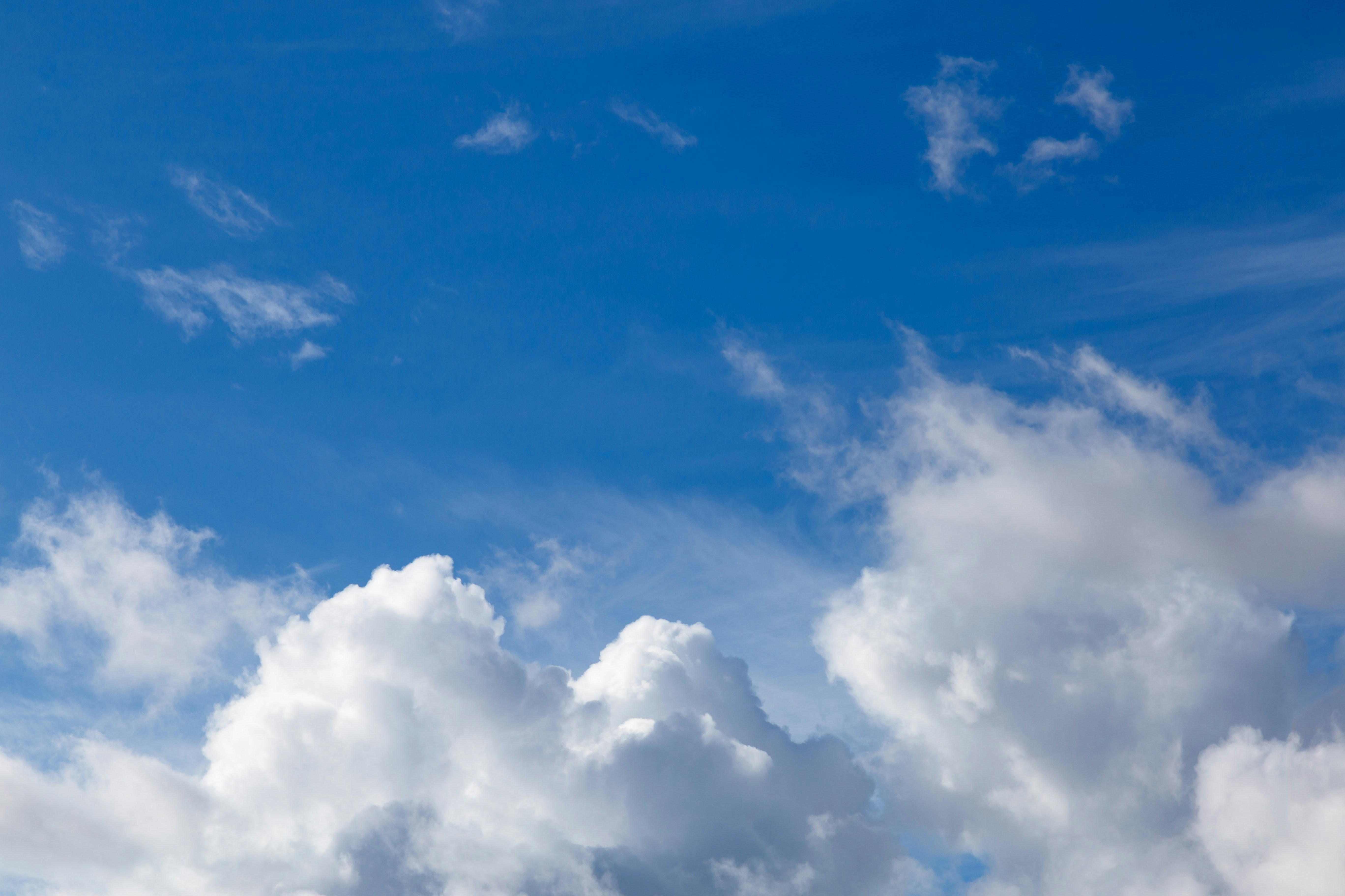 Photo by alien_roger