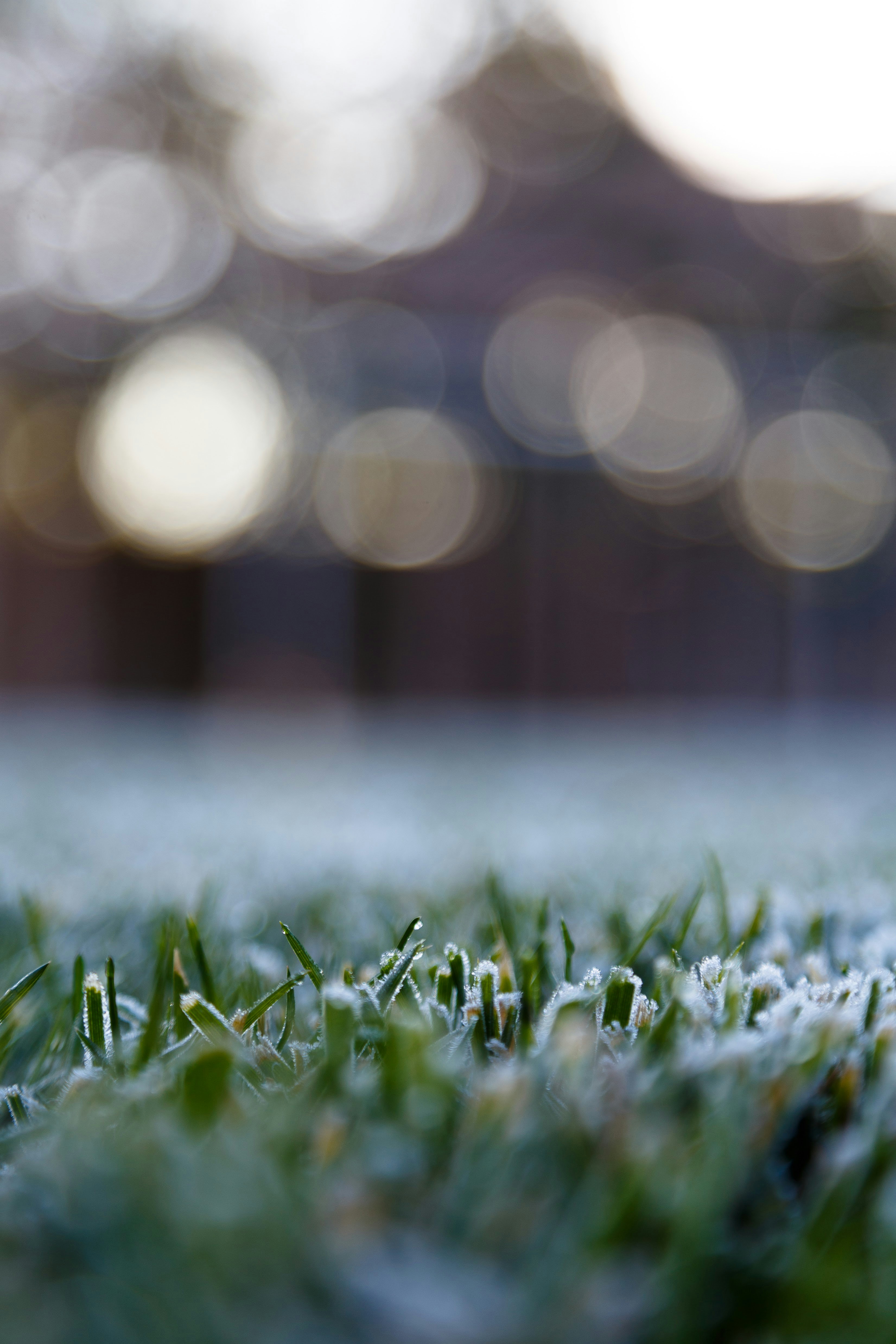 Photo by alien_roger