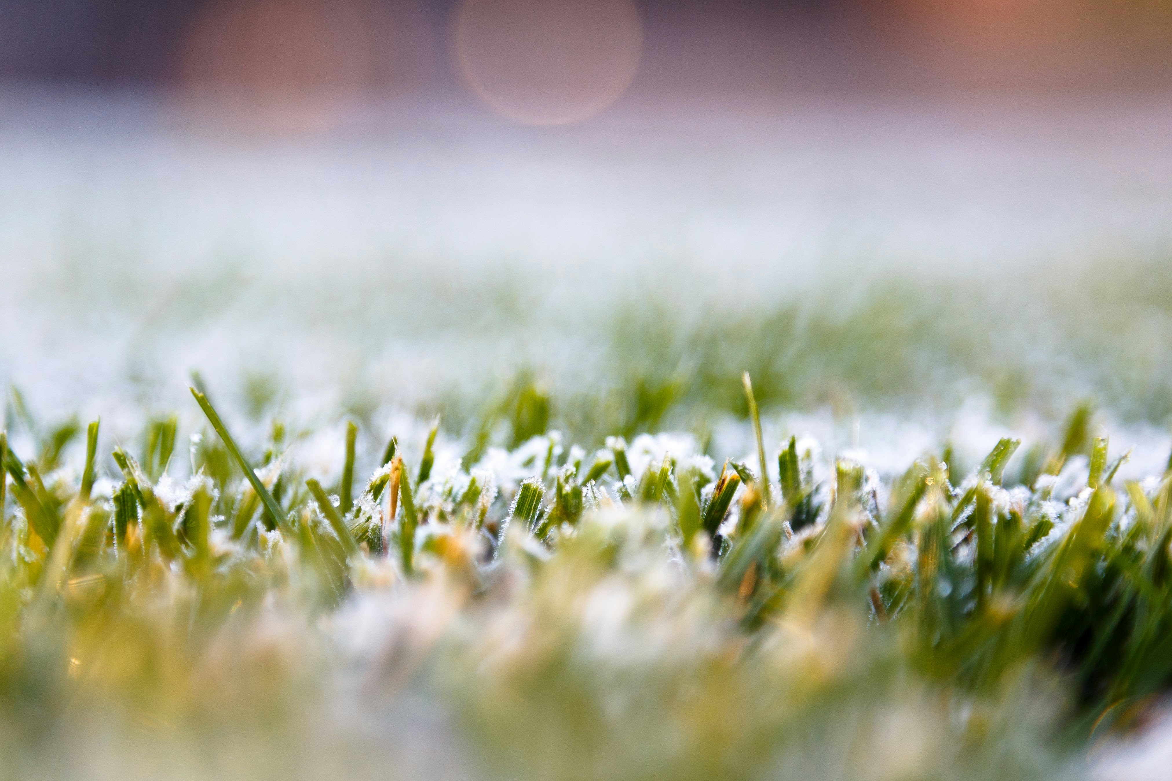 Photo by alien_roger