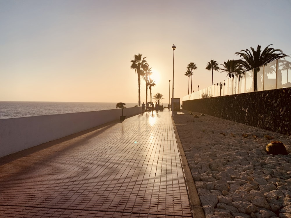 the sun is setting over the ocean with palm trees