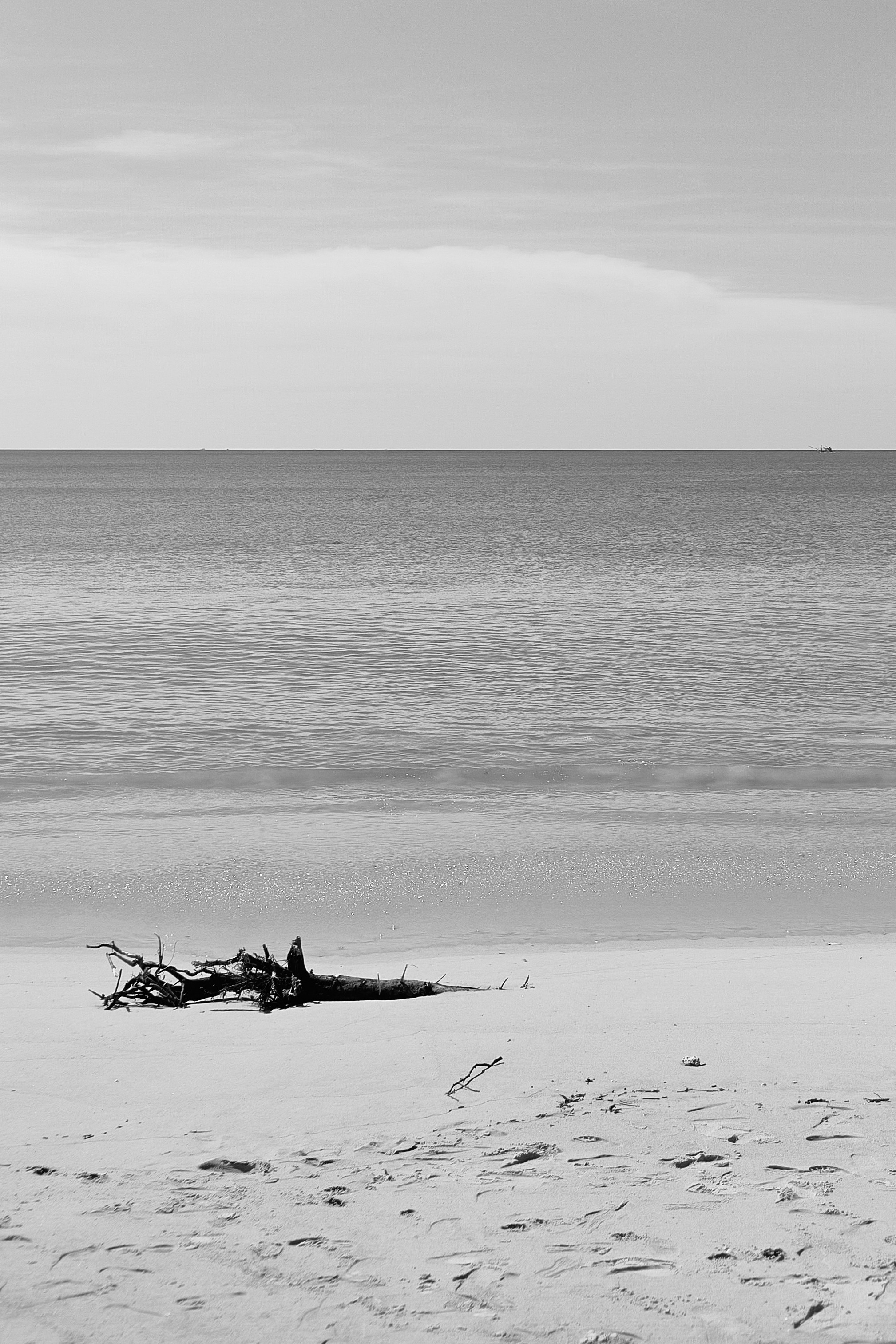 Photo by setsj
