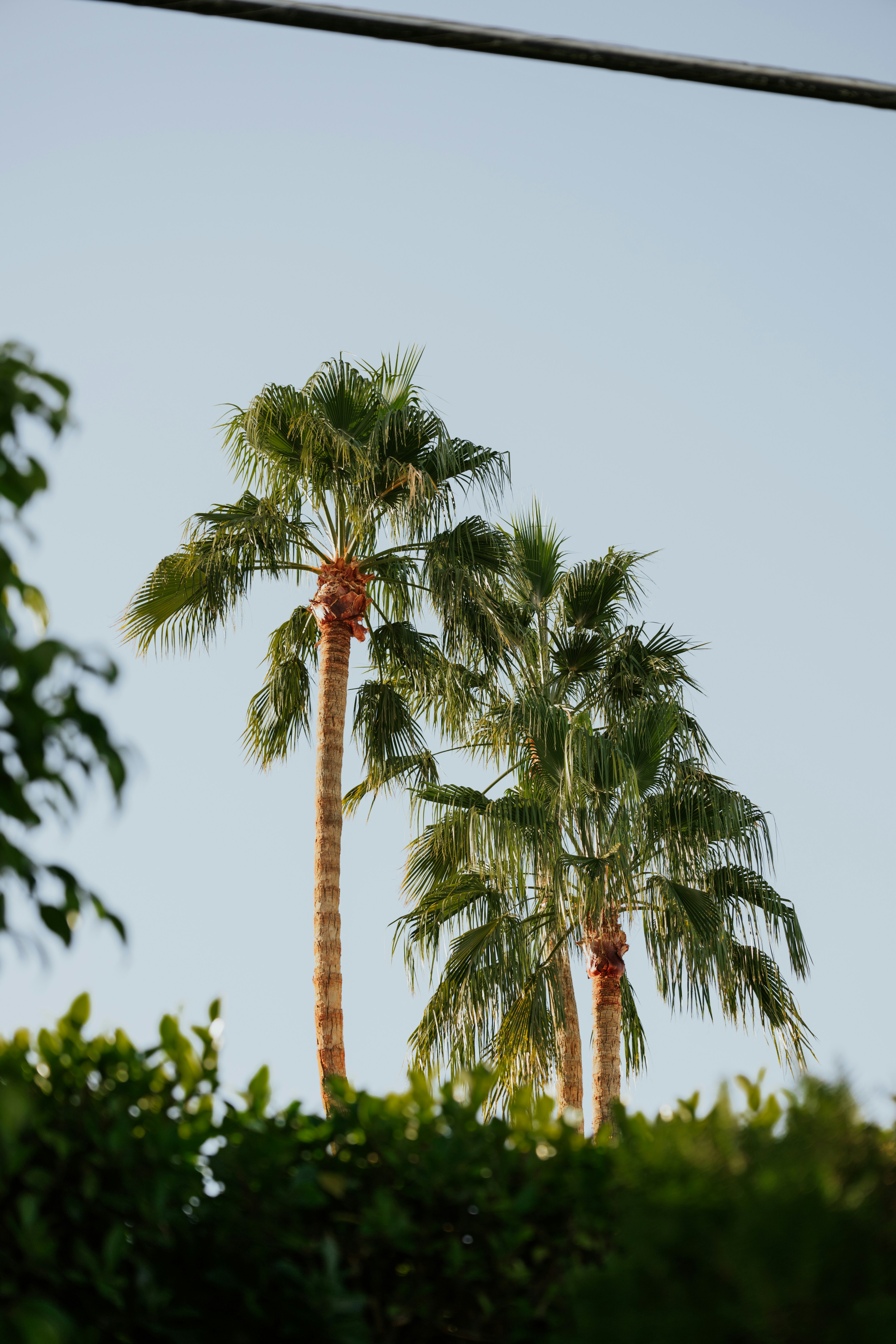 Photo by jeffersonsees