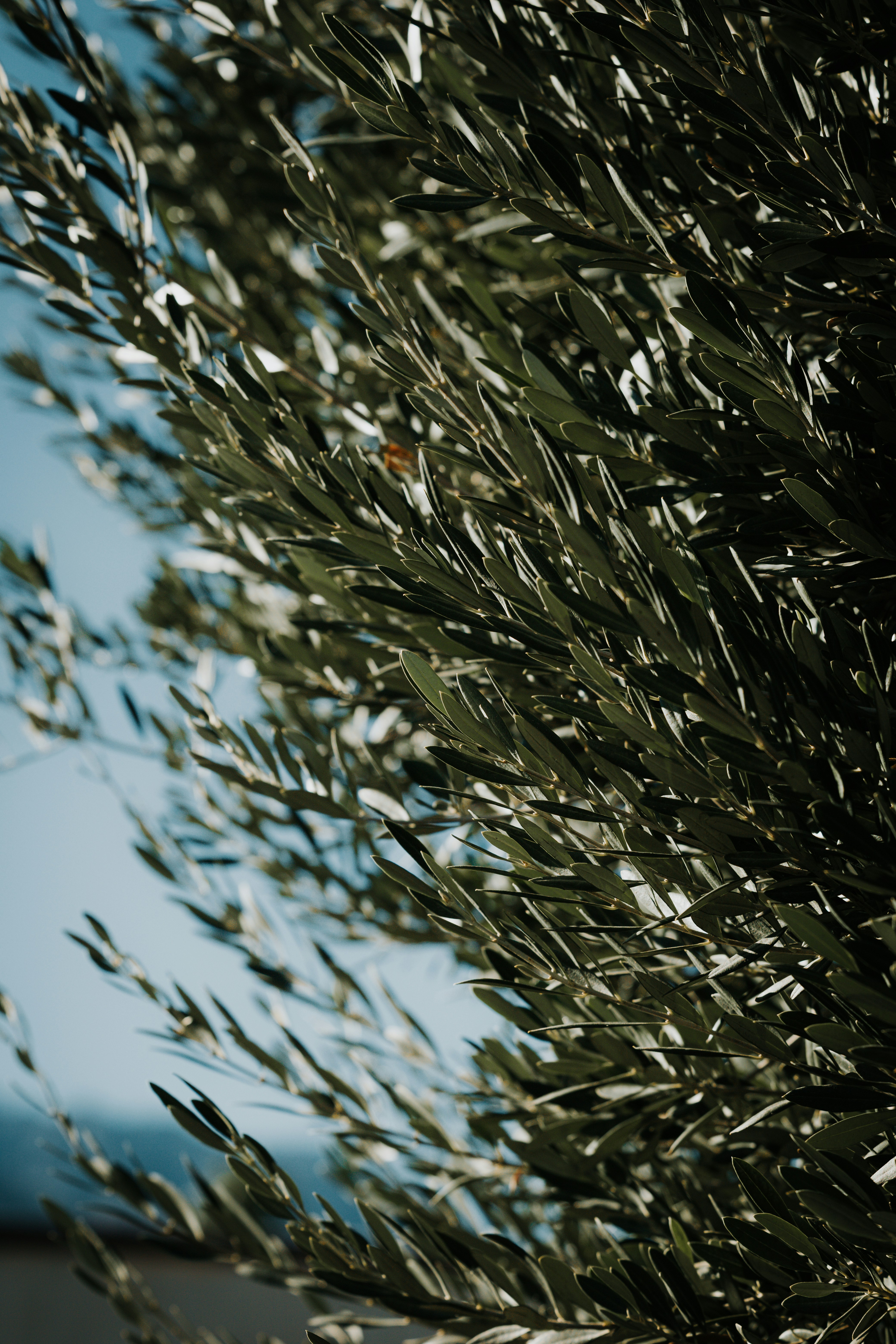 Photo by jeffersonsees