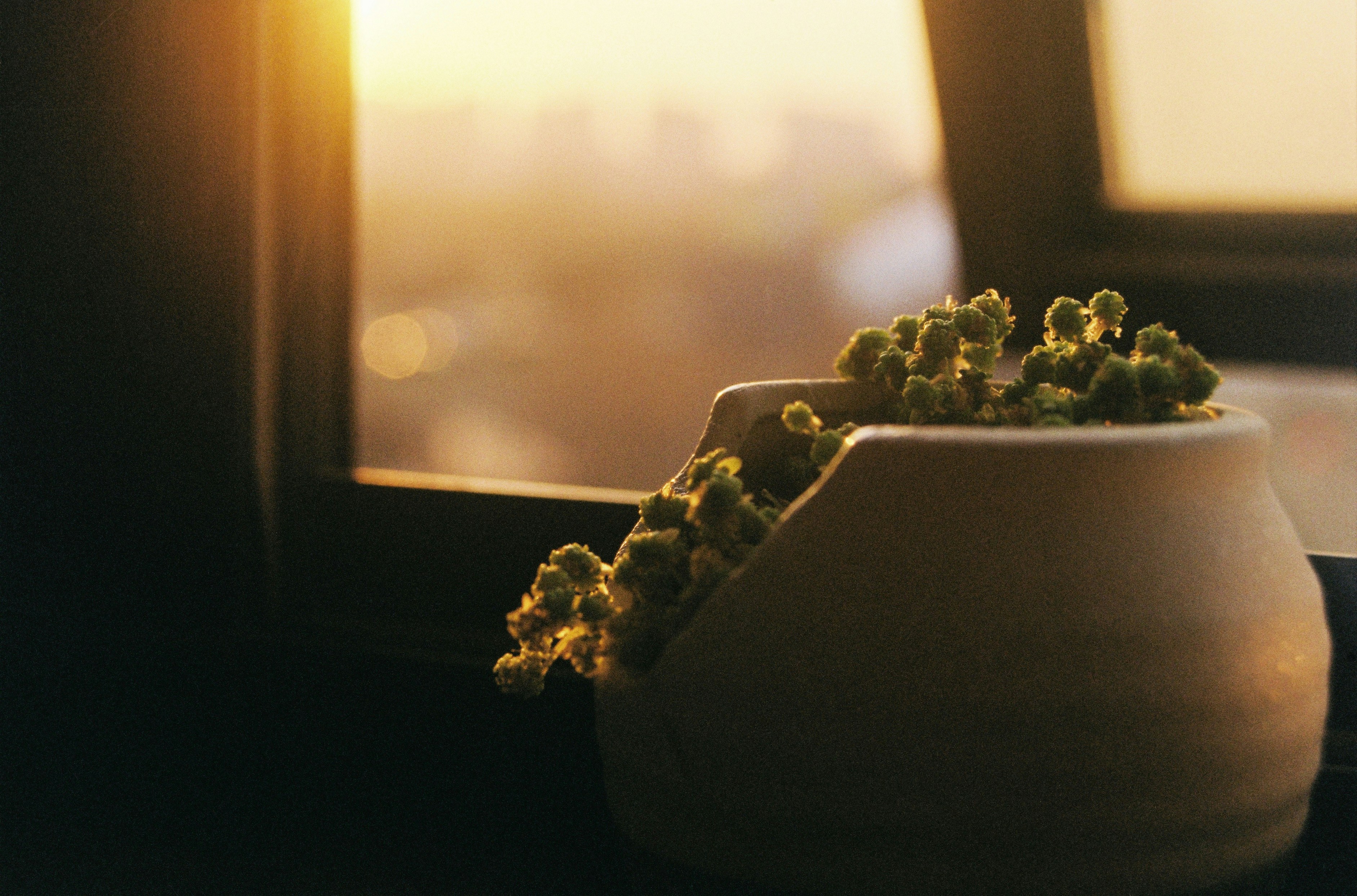 Photo by 0ruofei0