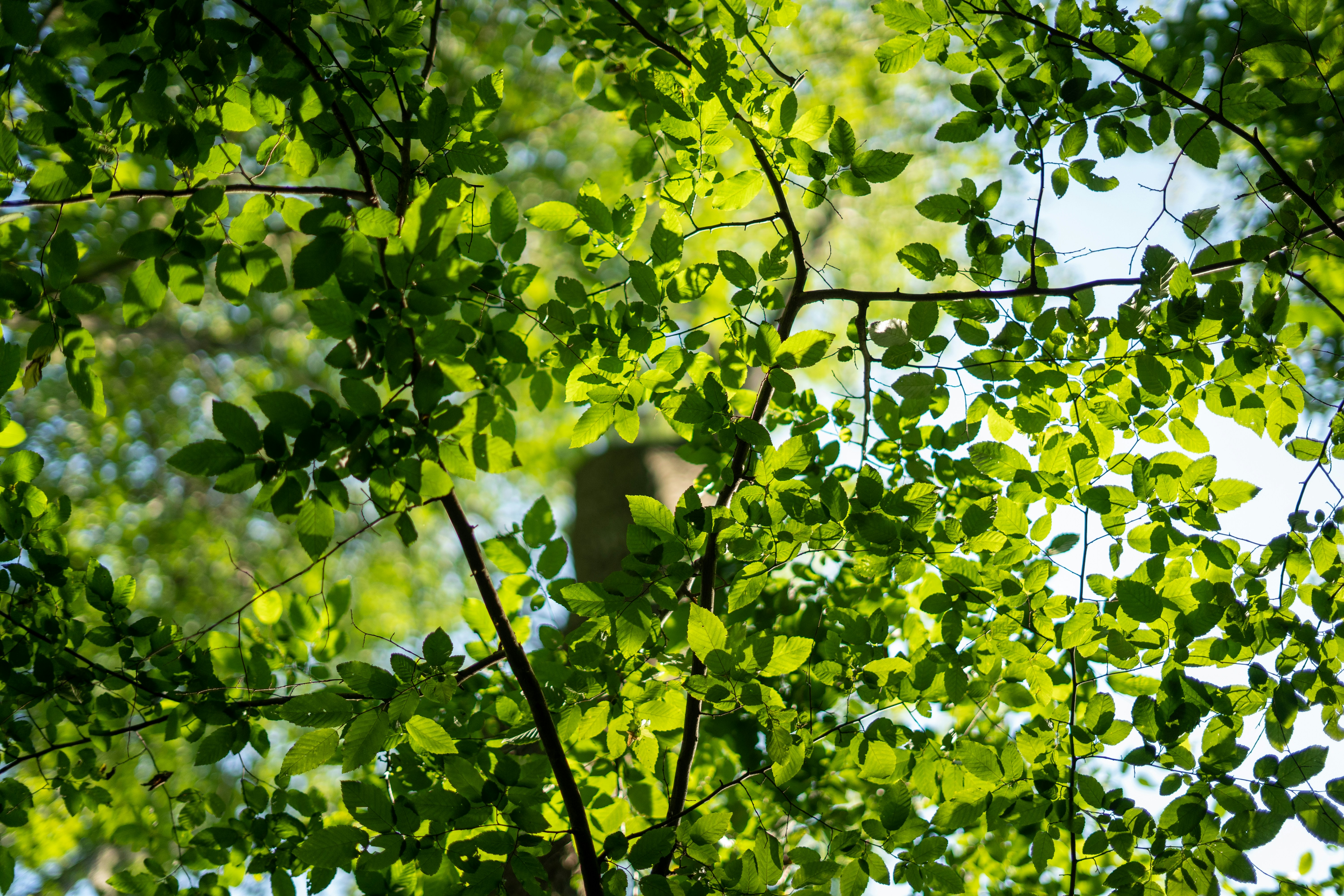 Photo by whoathereclaire