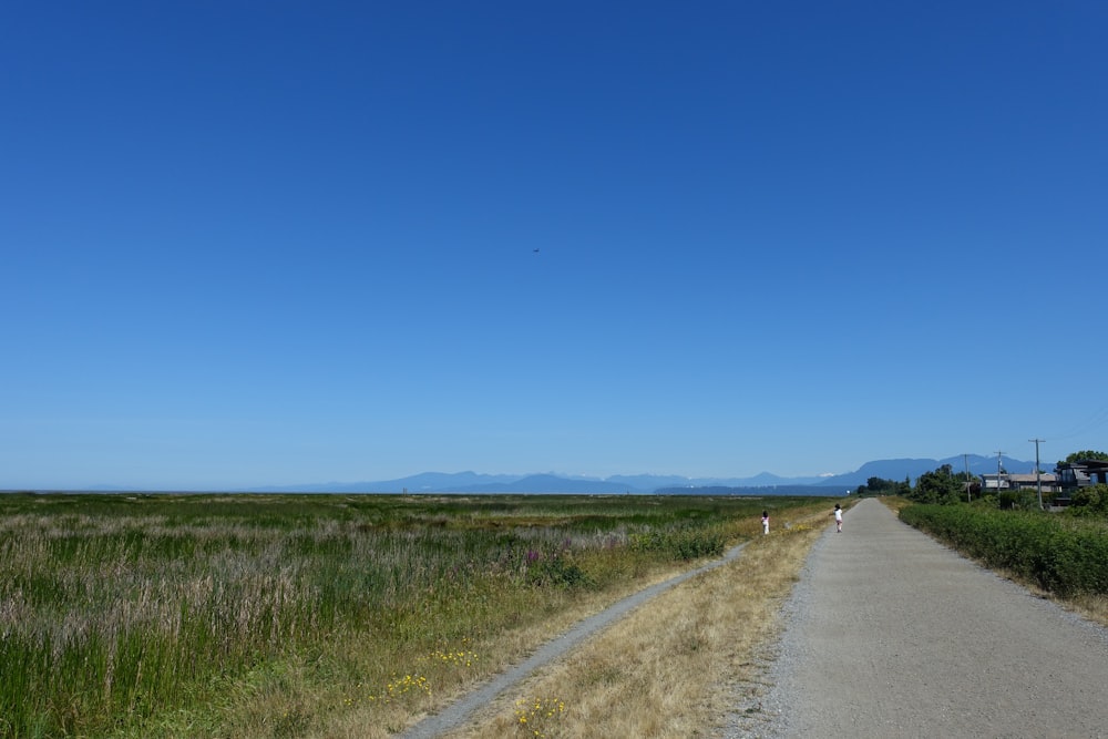 two people walking down a path in a field