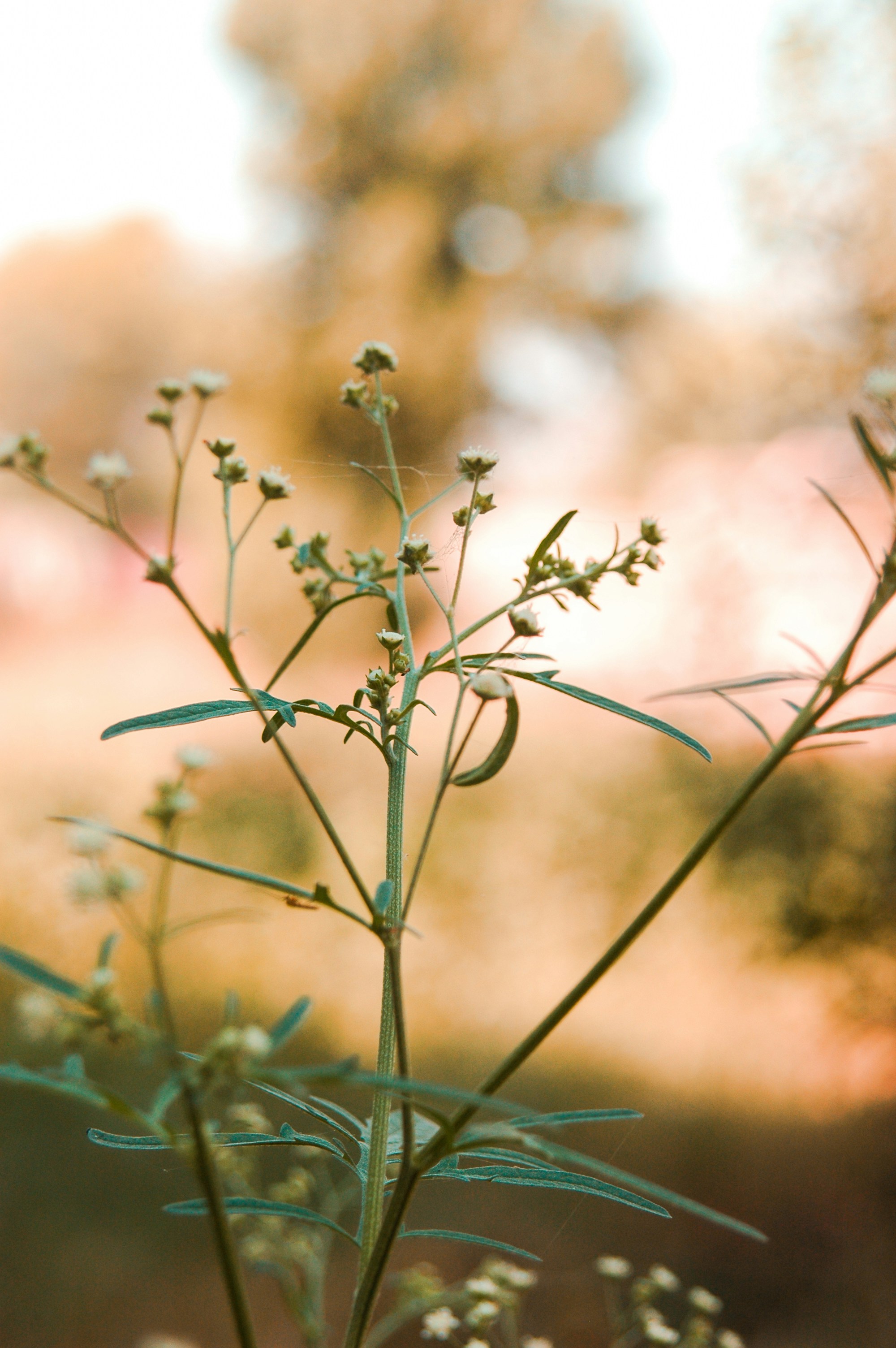 Photo by sajidhanif99