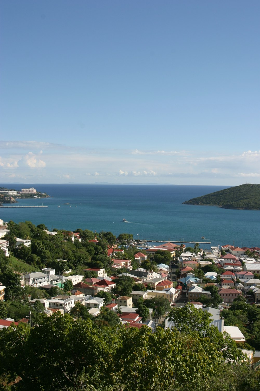 a view of a city with a body of water in the background