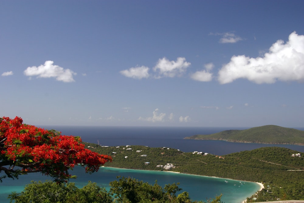 a scenic view of a tropical island and the ocean