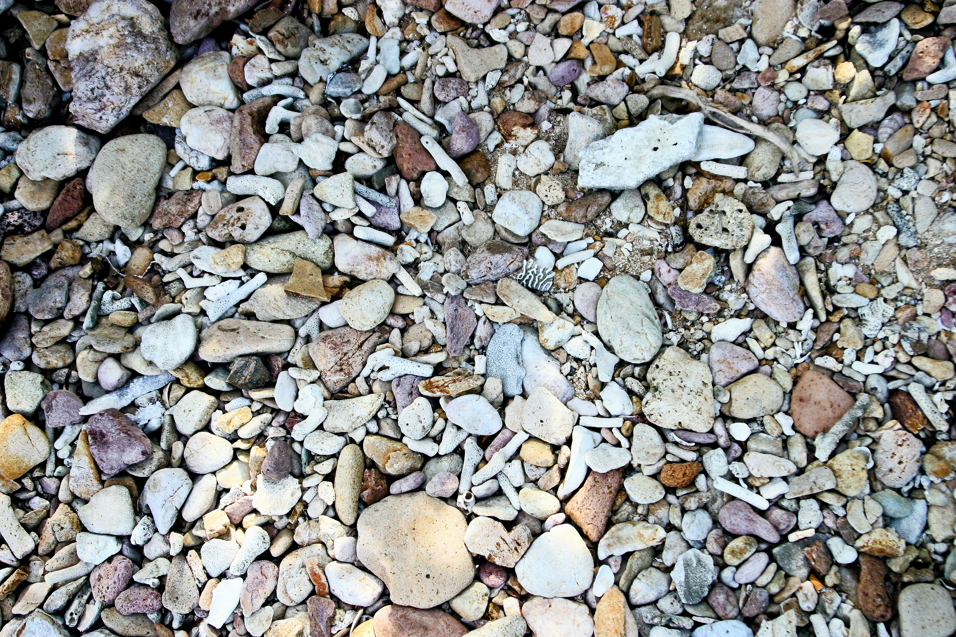 Photo by climatechangevi