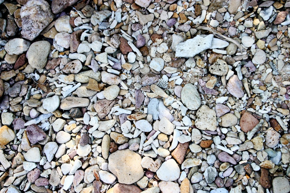 a bunch of rocks that are laying on the ground