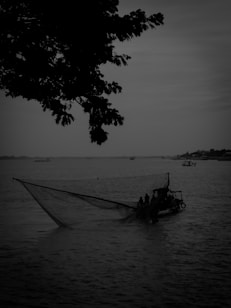 A silhouetted scene of a boat on a body of water with people engaged in fishing activities. A large net is prominently displayed, spread out from the boat. Overhead, tree branches extend into the frame, creating a dark outline against the sky. Multiple smaller boats are visible in the distance, enhancing the sense of a busy waterway.