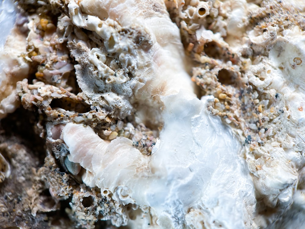 a close up of a rock with a lot of white stuff on it