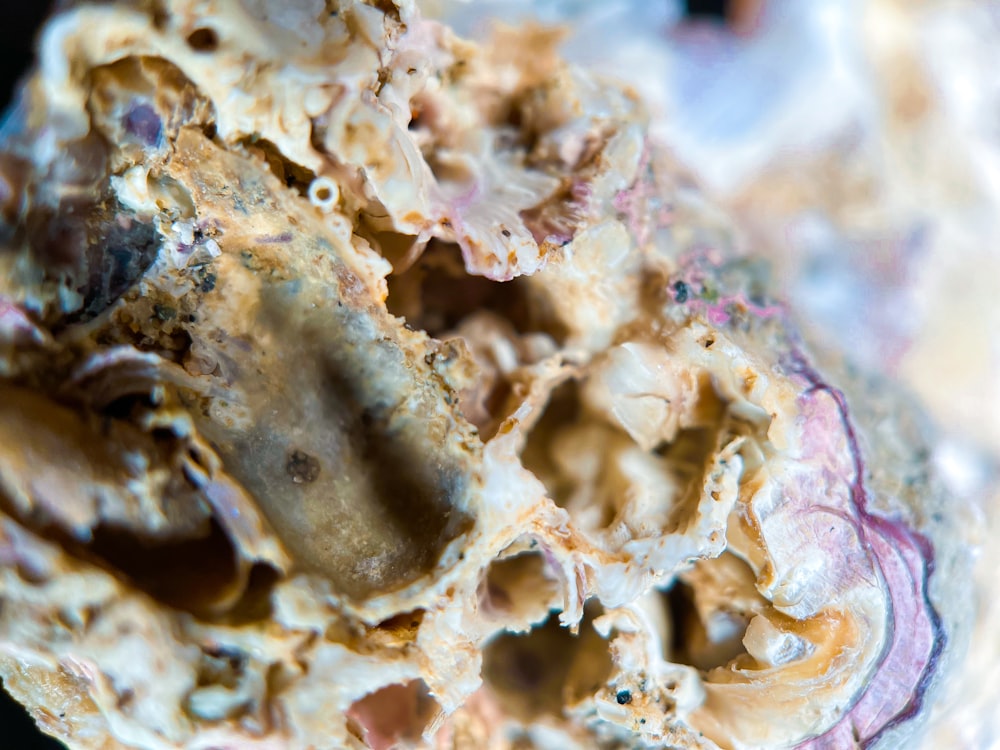 a close up of a rock with a lot of dirt on it