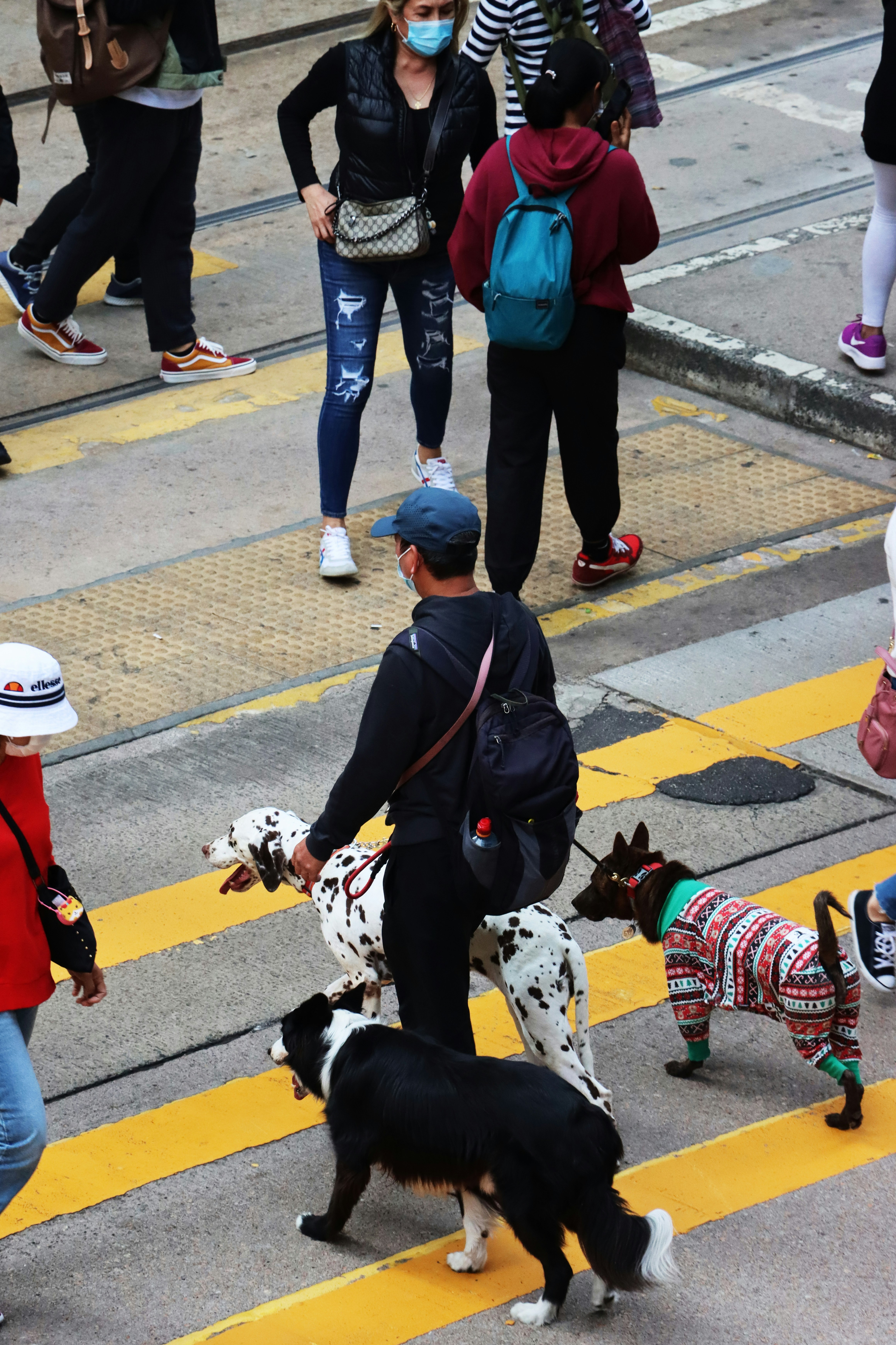 How Vault RNAs Could Help Manage MS Symptoms