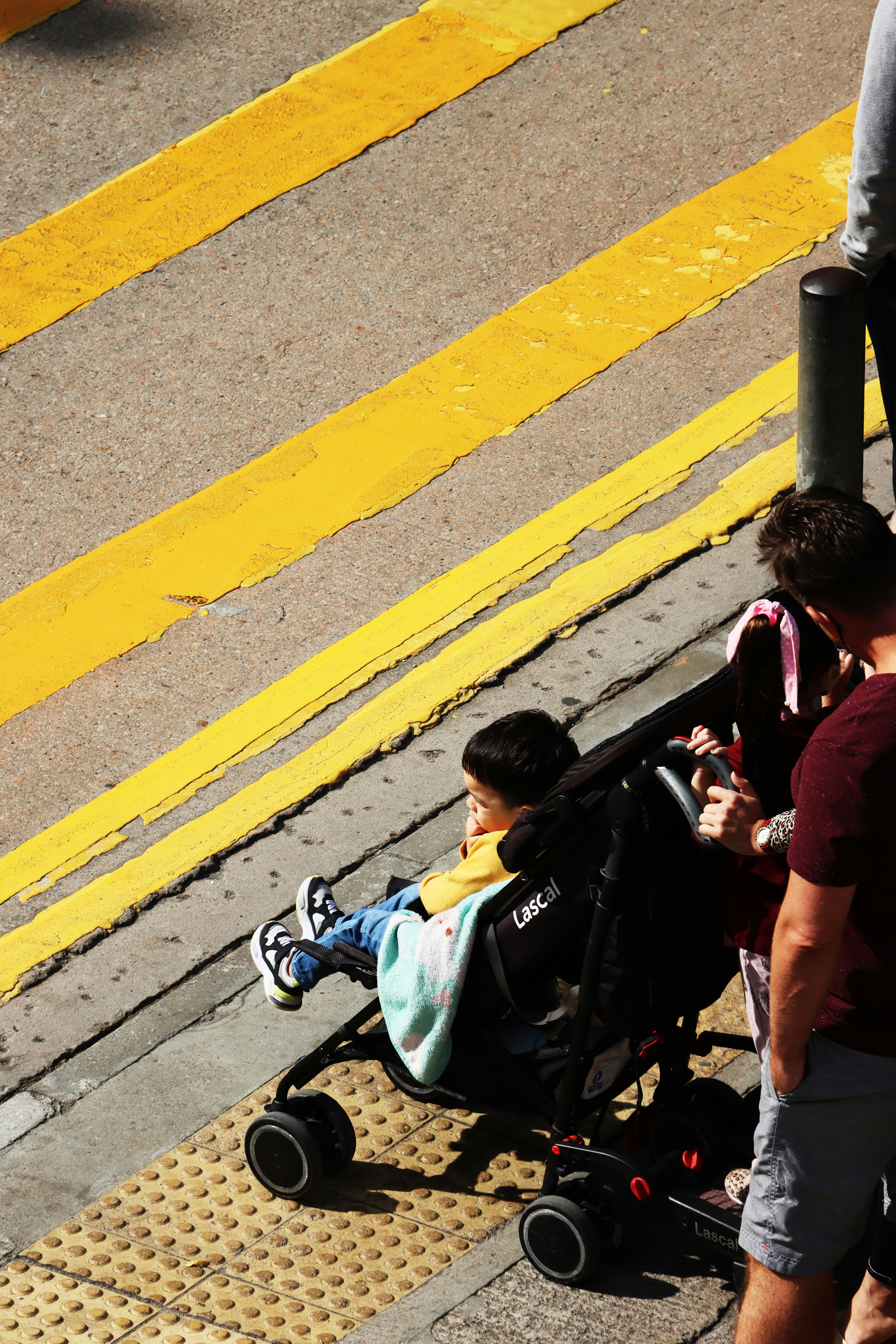 How Probiotics Could Help Manage Multiple Sclerosis