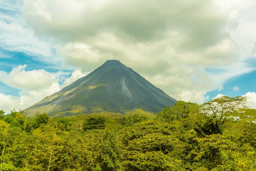 a large mountain in the middle of a forest