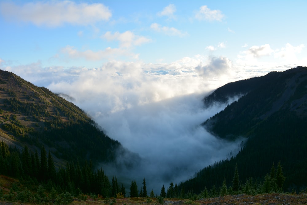 a large mountain in the background