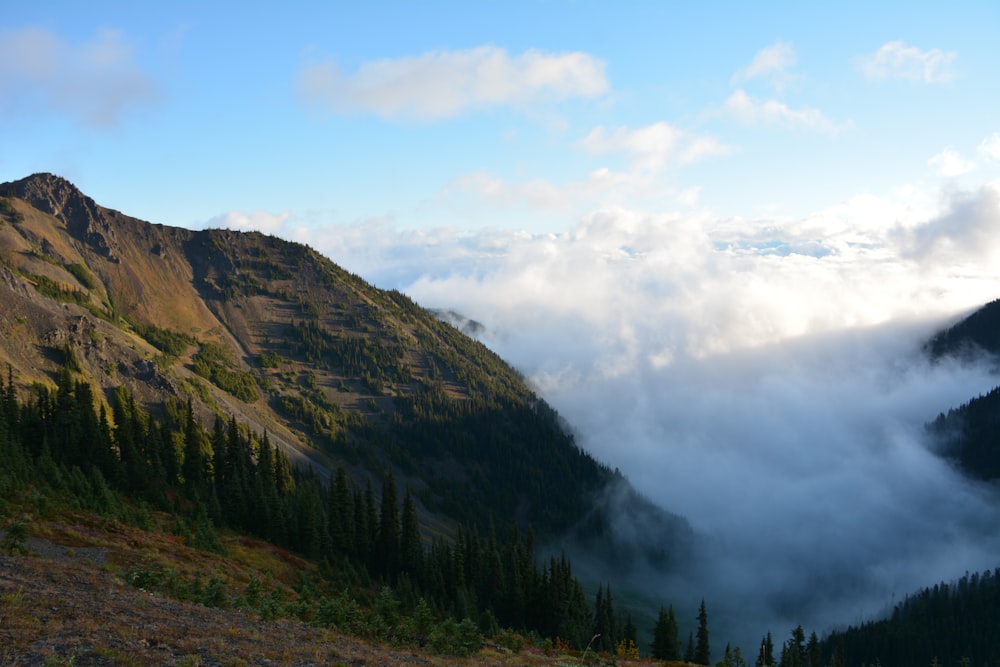 a large mountain in the background