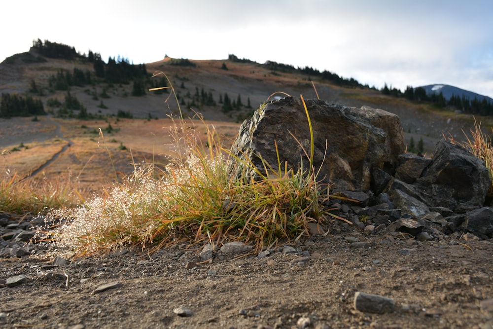 a large rock sitting on top of a dirt field