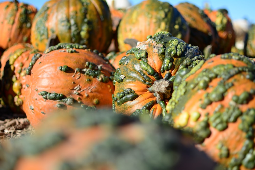 a close up of food