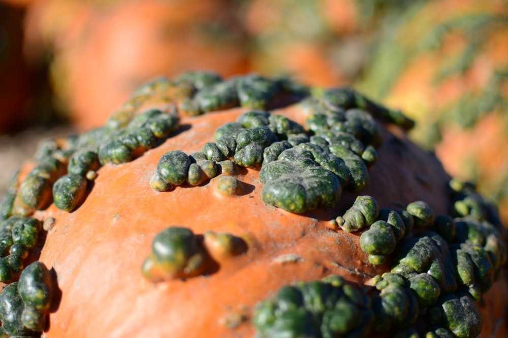 a close up of a broccoli and cheese