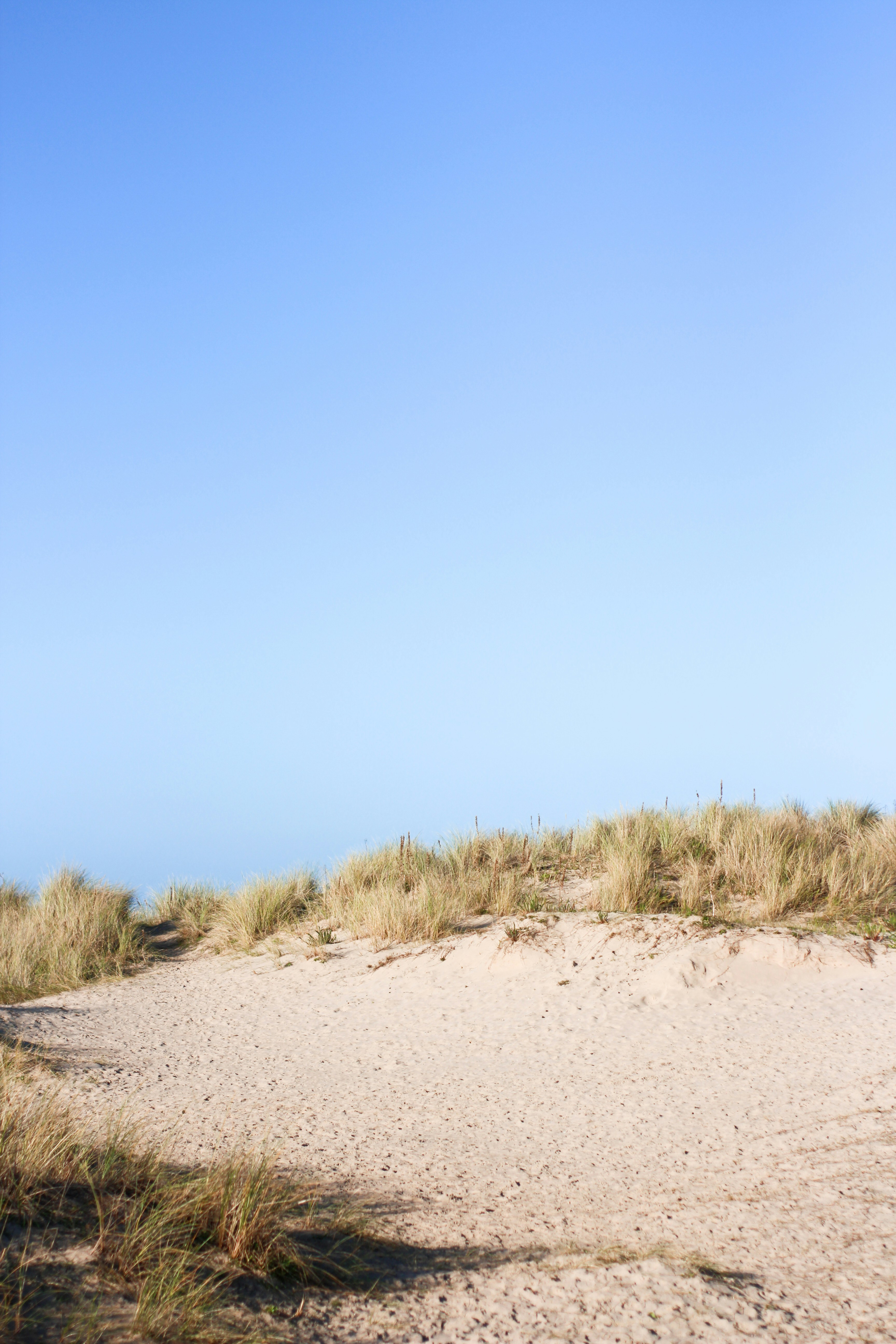 Photo by secondsight