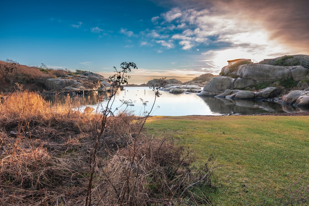 a body of water surrounded by rocks and grass