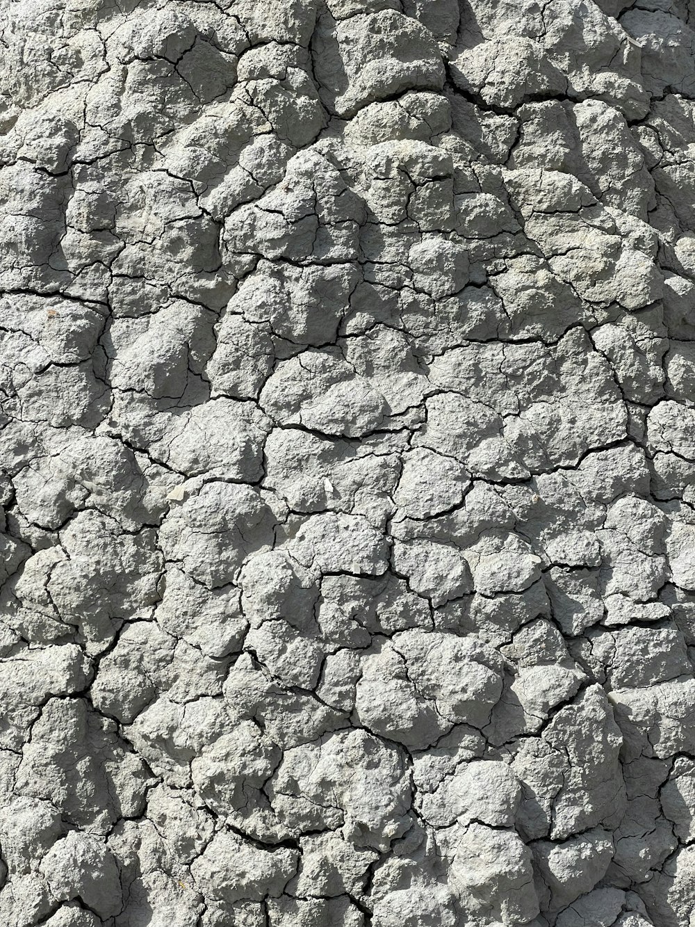 a close up of the texture of a rock