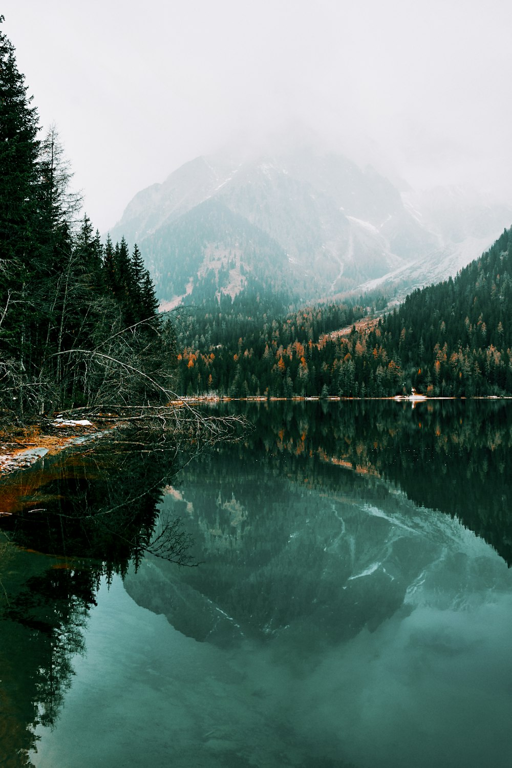 a body of water surrounded by trees and mountains