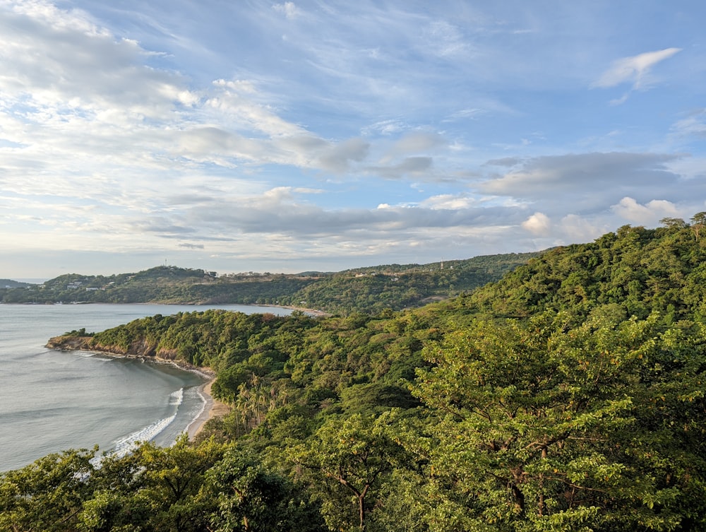 a scenic view of the ocean from a hill