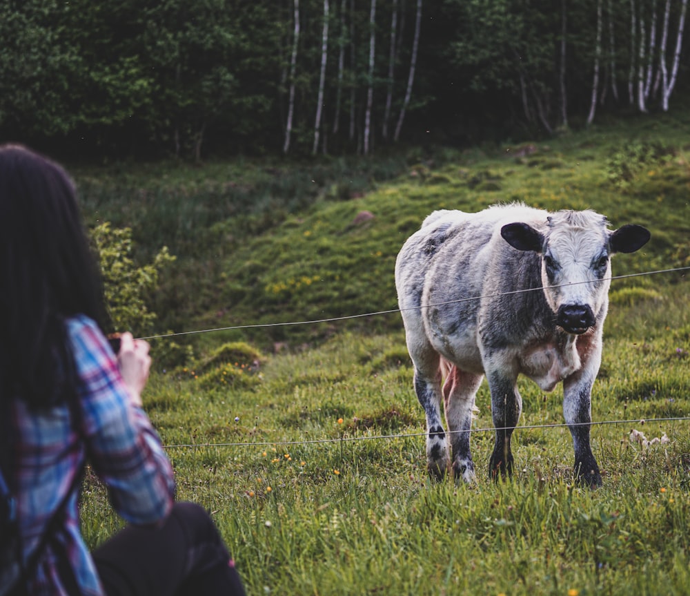 a cow standing on top of a lush green field