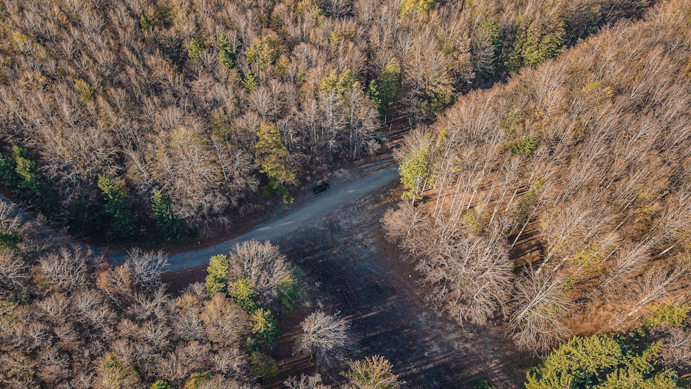 an aerial view of a road surrounded by trees