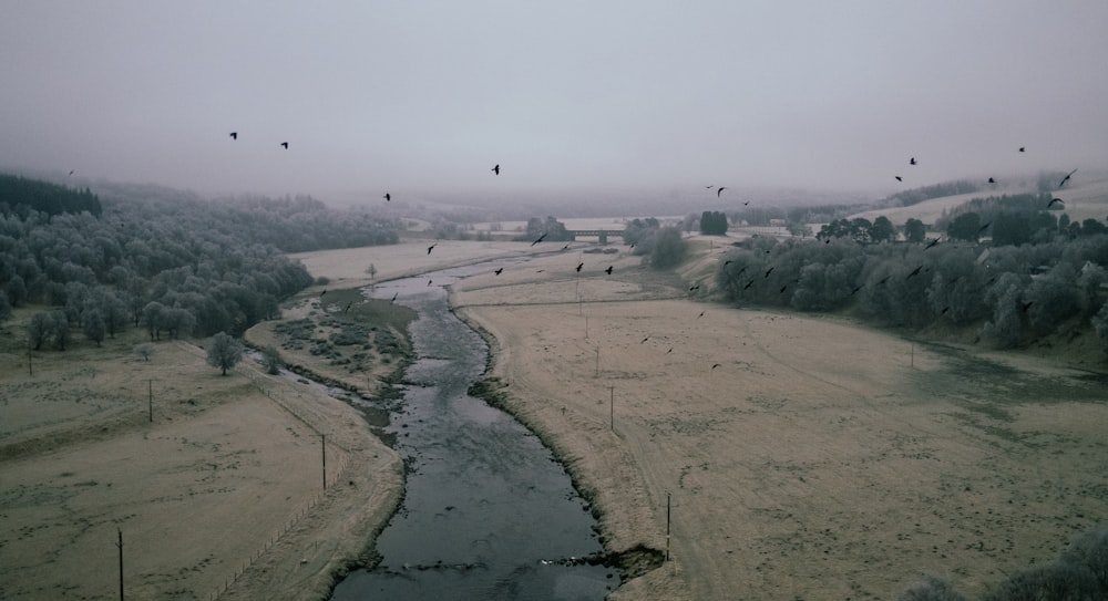 a river running through a field next to a forest