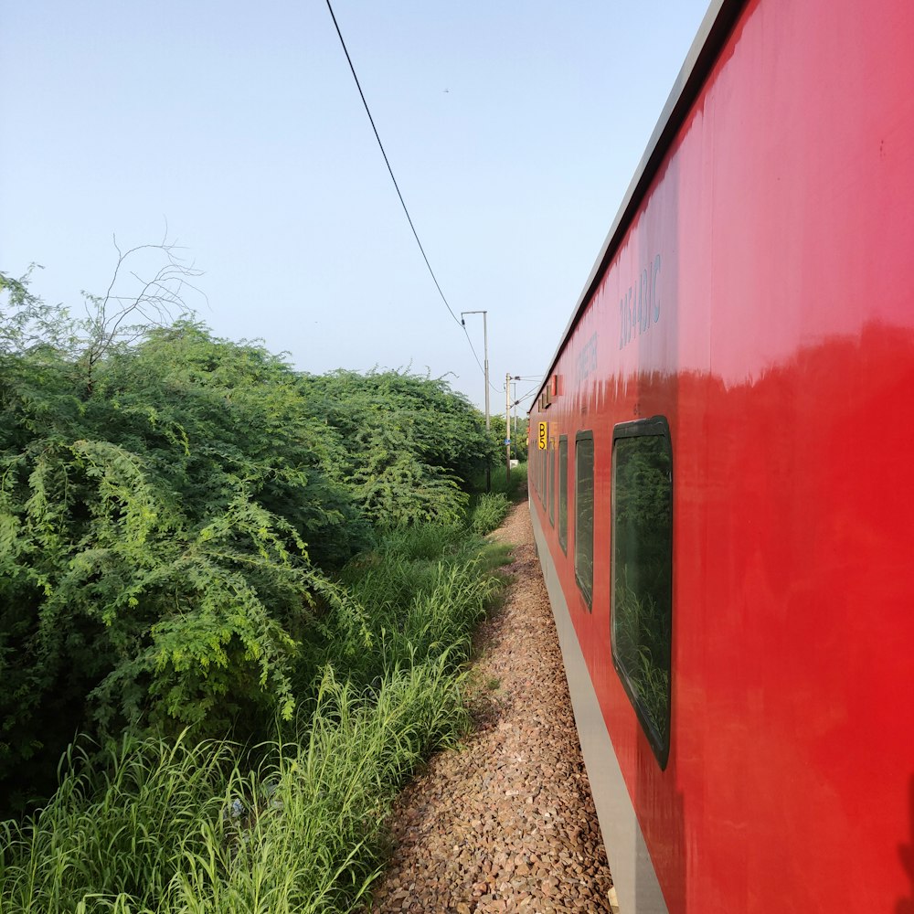 a red train traveling through a lush green forest